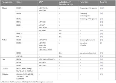 High altitude polycythemia and its maladaptive mechanisms: an updated review